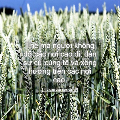 Picture 05 - 2 Các Vua 15:4 VIE - Thế mà người không dỡ các nơi cao đi; - Bible Verse Picture