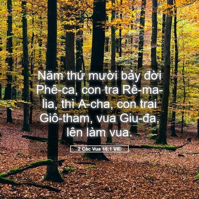 Picture 05 - 2 Các Vua 16:1 VIE - Năm thứ mười bảy đời Phê-ca, con tra - Bible Verse Picture