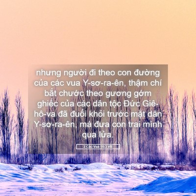 Picture 05 - 2 Các Vua 16:3 VIE - nhưng người đi theo con đường của các - Bible Verse Picture