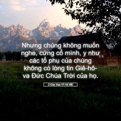 Picture 05 - 2 Các Vua 17:14 VIE - Nhưng chúng không muốn nghe, cứng cổ - Bible Verse Picture