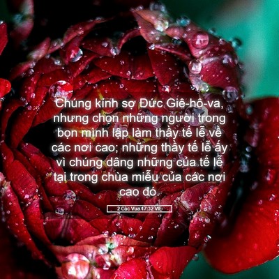 Picture 05 - 2 Các Vua 17:32 VIE - Chúng kính sợ Đức Giê-hô-va, nhưng - Bible Verse Picture