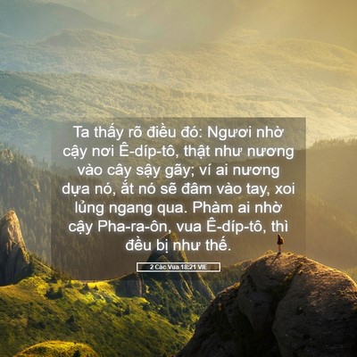 Picture 05 - 2 Các Vua 18:21 VIE - Ta thấy rõ điều đó: Ngươi nhờ cậy - Bible Verse Picture