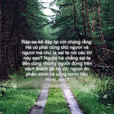 Picture 05 - 2 Các Vua 18:27 VIE - Ráp-sa-kê đáp lại với chúng rằng: Há - Bible Verse Picture