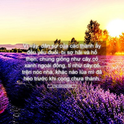 Picture 05 - 2 Các Vua 19:26 VIE - Vì vậy, dân sự của các thành ấy - Bible Verse Picture