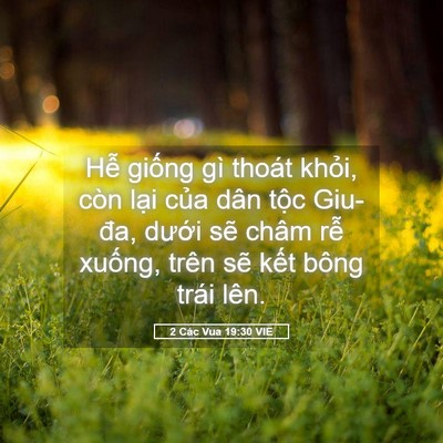 Picture 05 - 2 Các Vua 19:30 VIE - Hễ giống gì thoát khỏi, còn lại của - Bible Verse Picture
