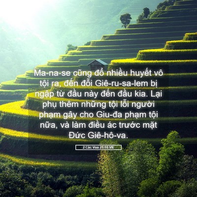 Picture 05 - 2 Các Vua 21:16 VIE - Ma-na-se cũng đổ nhiều huyết vô tội - Bible Verse Picture