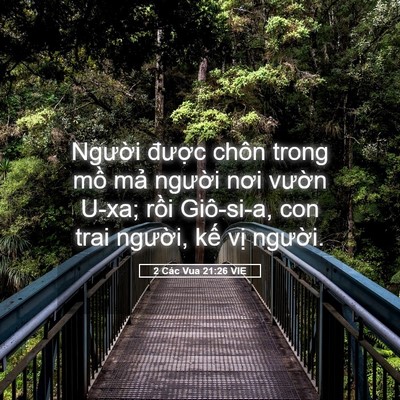 Picture 05 - 2 Các Vua 21:26 VIE - Người được chôn trong mồ mả người - Bible Verse Picture