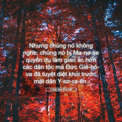 Picture 05 - 2 Các Vua 21:9 VIE - Nhưng chúng nó không nghe; chúng nó bị - Bible Verse Picture