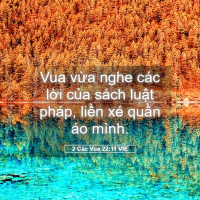 Picture 05 - 2 Các Vua 22:11 VIE - Vua vừa nghe các lời của sách luật - Bible Verse Picture