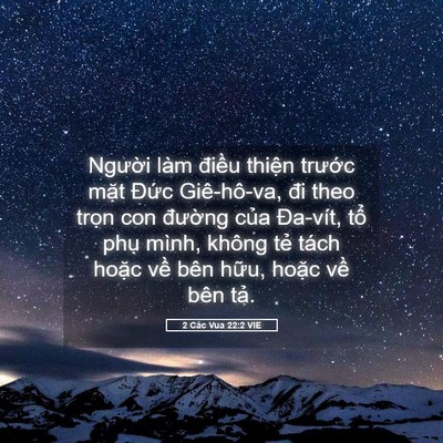 Picture 05 - 2 Các Vua 22:2 VIE - Người làm điều thiện trước mặt - Bible Verse Picture