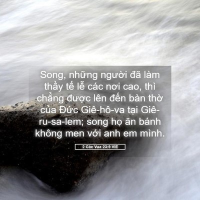 Picture 05 - 2 Các Vua 23:9 VIE - Song, những người đã làm thầy tế lễ - Bible Verse Picture