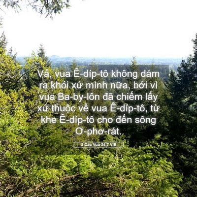 Picture 05 - 2 Các Vua 24:7 VIE - Vả, vua Ê-díp-tô không dám ra khỏi xứ - Bible Verse Picture