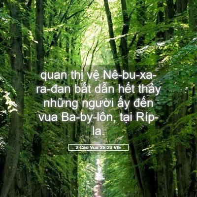 Picture 05 - 2 Các Vua 25:20 VIE - quan thị vệ Nê-bu-xa-ra-đan bắt dẫn - Bible Verse Picture