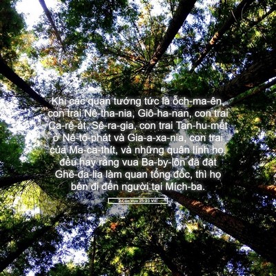Picture 05 - 2 Các Vua 25:23 VIE - Khi các quan tướng tức là ỗch-ma-ên, - Bible Verse Picture