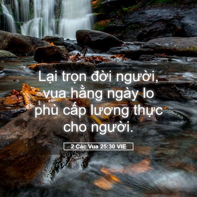 Picture 05 - 2 Các Vua 25:30 VIE - Lại trọn đời người, vua hằng ngày lo - Bible Verse Picture