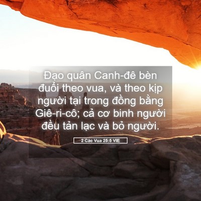 Picture 05 - 2 Các Vua 25:5 VIE - Đạo quân Canh-đê bèn đuổi theo vua, và - Bible Verse Picture