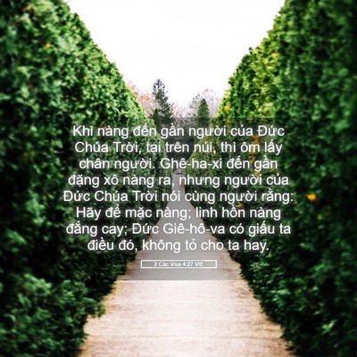 Picture 05 - 2 Các Vua 4:27 VIE - Khi nàng đến gần người của Đức - Bible Verse Picture