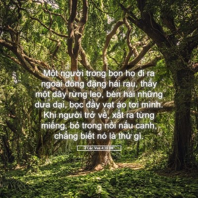 Picture 05 - 2 Các Vua 4:39 VIE - Một người trong bọn họ đi ra ngoài - Bible Verse Picture