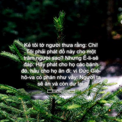 Picture 05 - 2 Các Vua 4:43 VIE - Kẻ tôi tớ người thưa rằng: Chi! Tôi - Bible Verse Picture