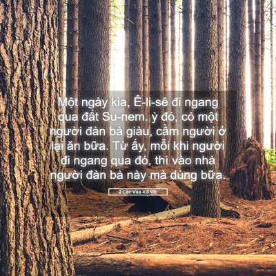 Picture 05 - 2 Các Vua 4:8 VIE - Một ngày kia, Ê-li-sê đi ngang qua đất - Bible Verse Picture