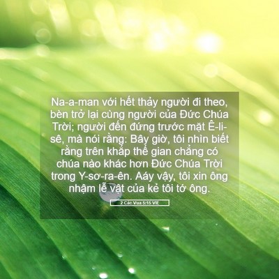 Picture 05 - 2 Các Vua 5:15 VIE - Na-a-man với hết thảy người đi theo, - Bible Verse Picture