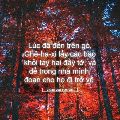 Picture 05 - 2 Các Vua 5:24 VIE - Lúc đã đến trên gò, Ghê-ha-xi lấy các - Bible Verse Picture