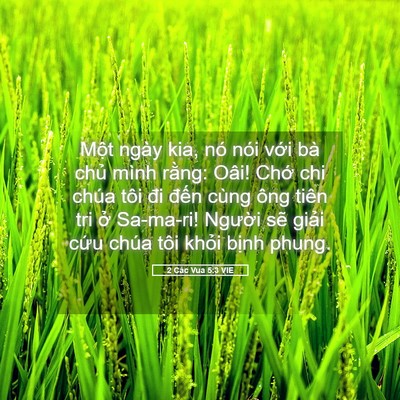 Picture 05 - 2 Các Vua 5:3 VIE - Một ngày kia, nó nói với bà chủ mình - Bible Verse Picture
