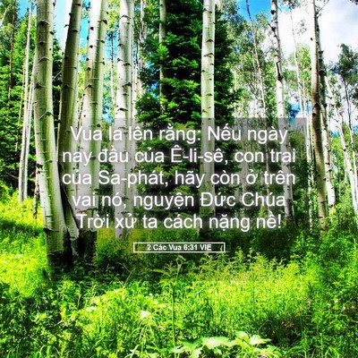 Picture 05 - 2 Các Vua 6:31 VIE - Vua la lên rằng: Nếu ngày nay đầu của - Bible Verse Picture
