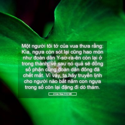 Picture 05 - 2 Các Vua 7:13 VIE - Một người tôi tớ của vua thưa rằng: - Bible Verse Picture