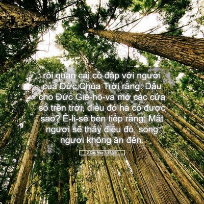 Picture 05 - 2 Các Vua 7:19 VIE - rồi quan cai có đáp với người của - Bible Verse Picture