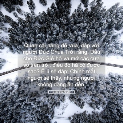 Picture 05 - 2 Các Vua 7:2 VIE - Quan cai nâng đỡ vua, đáp với người - Bible Verse Picture