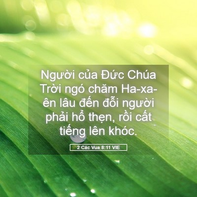 Picture 05 - 2 Các Vua 8:11 VIE - Người của Đức Chúa Trời ngó chăm - Bible Verse Picture