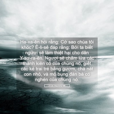 Picture 05 - 2 Các Vua 8:12 VIE - Ha-xa-ên hỏi rằng: Cớ sao chúa tôi - Bible Verse Picture