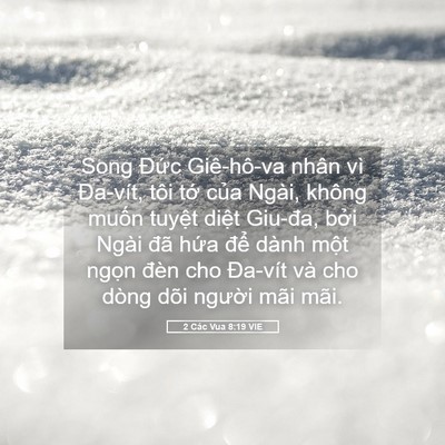 Picture 05 - 2 Các Vua 8:19 VIE - Song Đức Giê-hô-va nhân vì Đa-vít, tôi - Bible Verse Picture