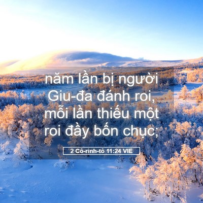 Picture 05 - 2 Cô-rinh-tô 11:24 VIE - năm lần bị người Giu-đa đánh roi, - Bible Verse Picture