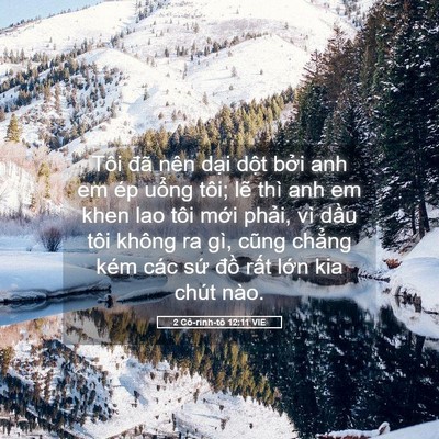 Picture 05 - 2 Cô-rinh-tô 12:11 VIE - Tôi đã nên dại dột bởi anh em ép - Bible Verse Picture