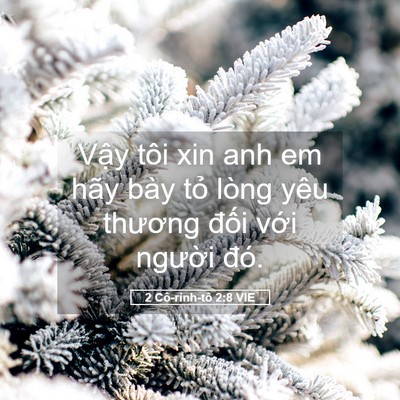 Picture 05 - 2 Cô-rinh-tô 2:8 VIE - Vậy tôi xin anh em hãy bày tỏ lòng yêu - Bible Verse Picture