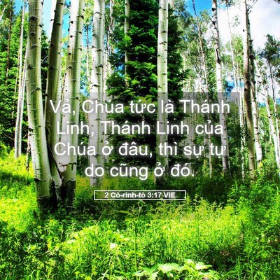 Picture 05 - 2 Cô-rinh-tô 3:17 VIE - Vả, Chúa tức là Thánh Linh, Thánh Linh - Bible Verse Picture