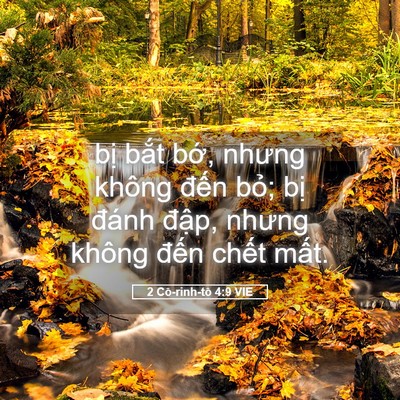 Picture 05 - 2 Cô-rinh-tô 4:9 VIE - bị bắt bớ, nhưng không đến bỏ; bị - Bible Verse Picture
