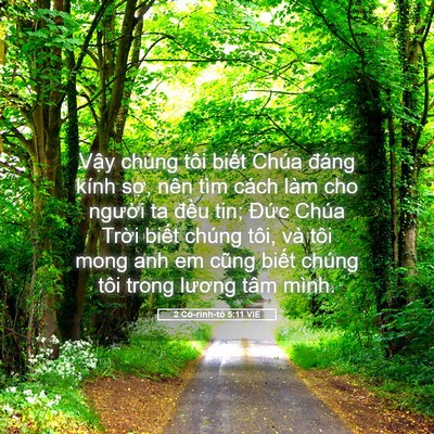 Picture 05 - 2 Cô-rinh-tô 5:11 VIE - Vậy chúng tôi biết Chúa đáng kính sợ, - Bible Verse Picture