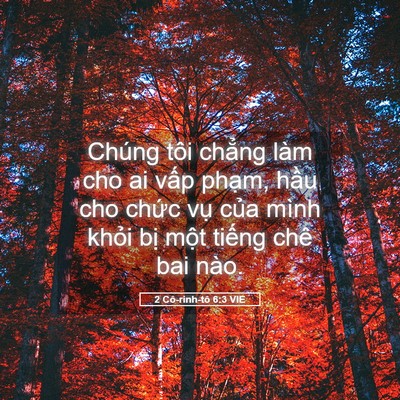 Picture 05 - 2 Cô-rinh-tô 6:3 VIE - Chúng tôi chẳng làm cho ai vấp phạm, - Bible Verse Picture