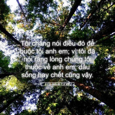 Picture 05 - 2 Cô-rinh-tô 7:3 VIE - Tôi chẳng nói điều đó để buộc tội - Bible Verse Picture