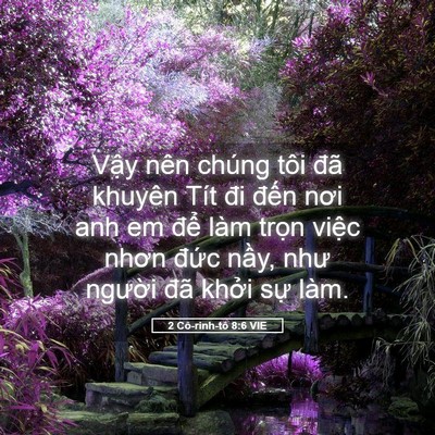 Picture 05 - 2 Cô-rinh-tô 8:6 VIE - Vậy nên chúng tôi đã khuyên Tít đi - Bible Verse Picture