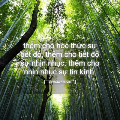 Picture 05 - 2 Phi-rơ 1:6 VIE - thêm cho học thức sự tiết độ, thêm - Bible Verse Picture