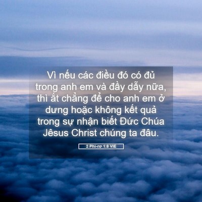 Picture 05 - 2 Phi-rơ 1:8 VIE - Vì nếu các điều đó có đủ trong anh - Bible Verse Picture