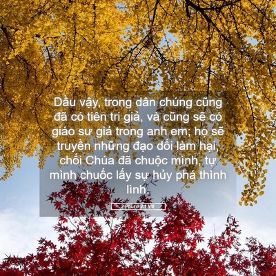 Picture 05 - 2 Phi-rơ 2:1 VIE - Dầu vậy, trong dân chúng cũng đã có - Bible Verse Picture