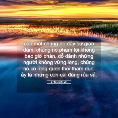 Picture 05 - 2 Phi-rơ 2:14 VIE - cặp mắt chúng nó đầy sự gian dâm, - Bible Verse Picture