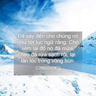 Picture 05 - 2 Phi-rơ 2:22 VIE - Đã xảy đến cho chúng nó như lời tục - Bible Verse Picture