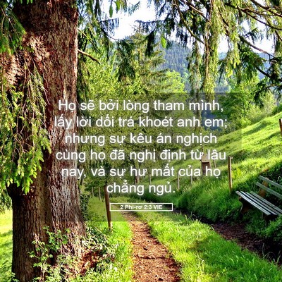 Picture 05 - 2 Phi-rơ 2:3 VIE - Họ sẽ bởi lòng tham mình, lấy lời - Bible Verse Picture