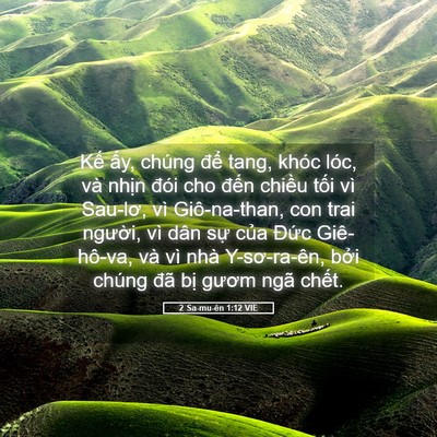 Picture 05 - 2 Sa-mu-ên 1:12 VIE - Kế ấy, chúng để tang, khóc lóc, và - Bible Verse Picture